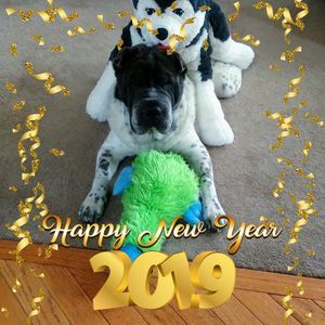 Meet your Posher, Diane